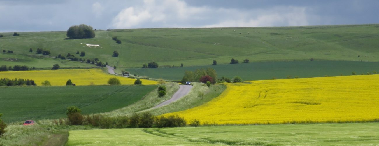 Image showing the view to the white horse at Hackpen hill
